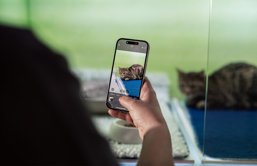 간호사들은 iPhone으로 반려동물 사진을 정기적으로 새롭게 보내 보호자를 한층 더 안심시켜 줍니다.