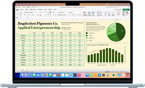 App Microsoft Excel affichée sur un MacBook Air